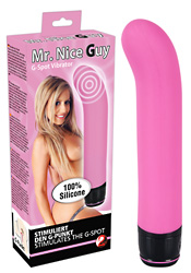 Vibrator »Mr. Nice Guy«