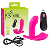RC Panty Vibrator