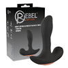 RC Prostate Plug with 2 Functions