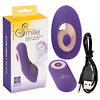 RC Panty Vibrator